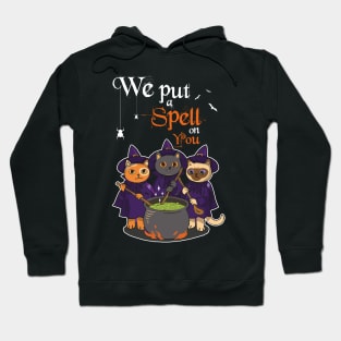 We Put A Spell On You Witch Cat Sisters Halloween Quote Gift Hoodie